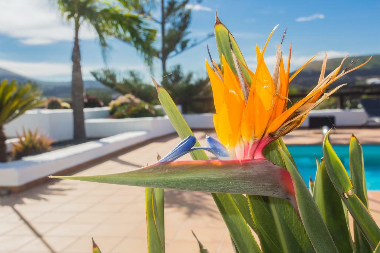 Casa El Quinto Villa La Vegueta Kültér fotó